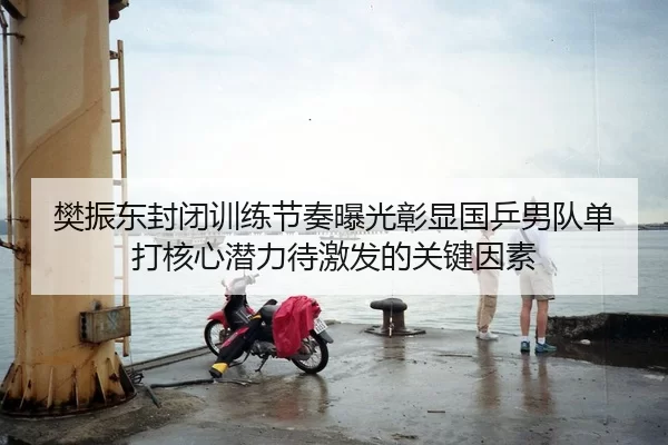 樊振东封闭训练节奏曝光彰显国乒男队单打核心潜力待激发的关键因素
