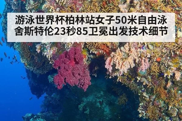 游泳世界杯柏林站女子50米自由泳舍斯特伦23秒85卫冕出发技术细节（jiuyou）