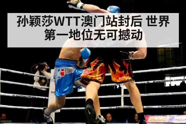 孙颖莎WTT澳门站封后 世界第一地位无可撼动